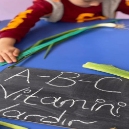 Sebzelerle Vitamin Keşfi 🥬🧄