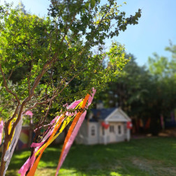 Renklerle Bahçemiz Daha Güzel 🎀🌸