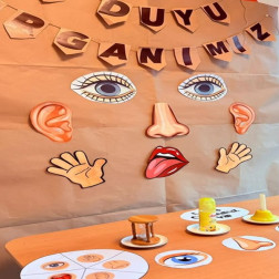 👀 Duyularımızı Keşfediyoruz! 👂👃👅✋👁