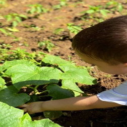 🌿 Doğayı Keşfeden Minik Eller 🌿
