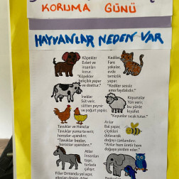 🐾 Dünya Hayvanları Koruma Günü Farkındalığı 🌍