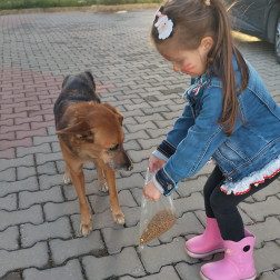 HAYVANLARI KORUMA GÜNÜ ETKİNLİĞİMİZ