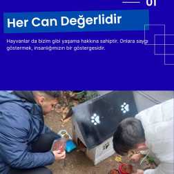 Hayvan Sevgisi, İyiliğin Başlangıcıdır!