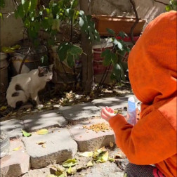 🐾 Minik Kalplerden Patili Dostlara Sevgi!