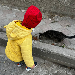 🐾 Minik Kalplerden Patili Dostlara Sevgi!