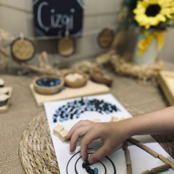 Çizgi Çalışması