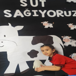 Minik Ellerle Süt Sağma Deneyimi!