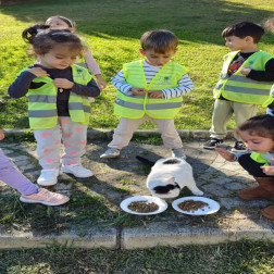 Hayvanları Koruma Günü