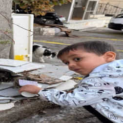 Merhamet Minik Ellerle Büyür