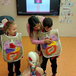 İÇ ORGANLARIMIZ NELERDİR NASIL ÇALIŞIR?