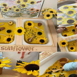 Güneşin Gülümsemesi: Ayçiçekleri 🌻