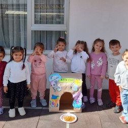 Kedi Evi Projesi 🐱