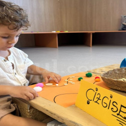 Çizgisel Gelişim Etkinliği