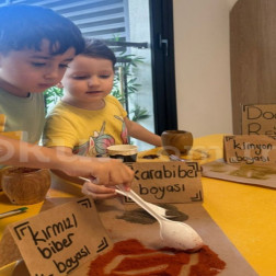 Doğadan Gelen Renkler