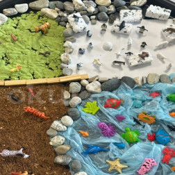 Hayvanların Yaşam Alanları