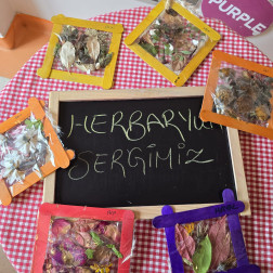 Herbaryum Sergisi