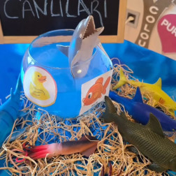 Deniz Canlılarını Öğreniuoruz