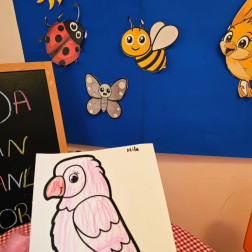 HAVADA YAŞAYAN CANLILAR