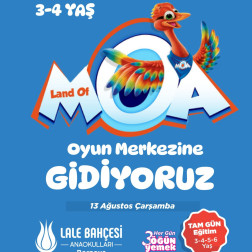 OYUN ALANI GEZİ