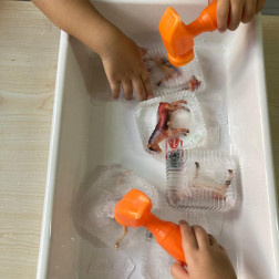 ❄️ Buzu Kır, Hayvanı Bul!