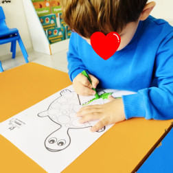 🐢 Minik Eller İş Başında: Su Kaplumbağası Yapıyoruz!