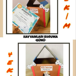 Hayvan Dostu Sertifikamızı Aldık 🐶🐾