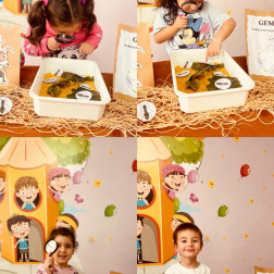 Arıların Dünyasına Yolculuk 🐝