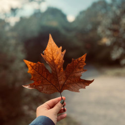 🍁 Sonbaharı Doğayla İç İçe Karşıladık!
