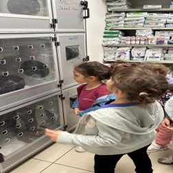 Minik Veterinerler İş Başında! 🐾💉
