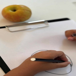 Gözlemden Çizime – Elmanın Yolculuğu 🍎✏️