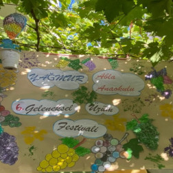 6. Geleneksel Üzüm Festivali 🍇🎉
