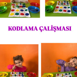 🧩 KODLAMA ÇALIŞMASI