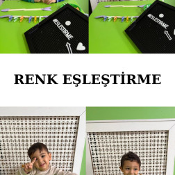🎨 RENK EŞLEŞTİRME