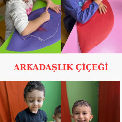 🌸 ARKADAŞLIK ÇİÇEĞİ