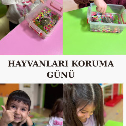 🐢 HAYVANLARI KORUMA GÜNÜ