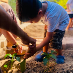 Minik Bahçıvanlar İş Başında 🌱