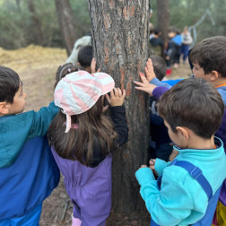 🌲 Doğayla İç İçe Bir Gün: Orman Okulu Etkinliğimiz!