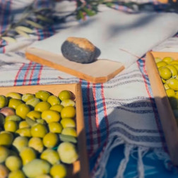 🌿 Zeytinlerimizi Hazırlıyoruz!