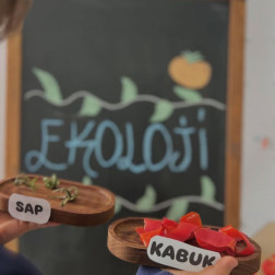 🍅 Ekoloji Dersimizde Domatesi Tanıdık! 🌱