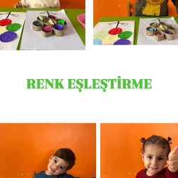 🎨 Renkleri Eşleştiriyorum!