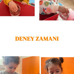 🧪 Deney Zamanı!