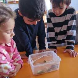 Minik Gözlemciler İş Başında!