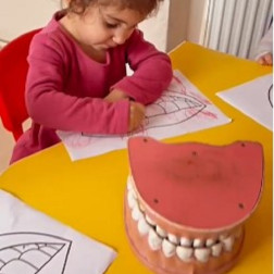 Diş Sağlığını Öğreniyoruz, Renklerle Anlatıyoruz!