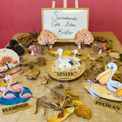 🍂 Sonbaharda Göç Eden Kuşları Öğrendik! 🐦