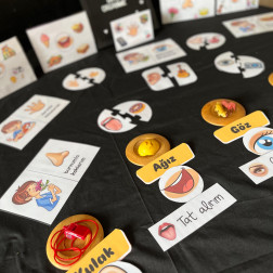 Duyularımızla Öğreniyoruz: 5 Duyu Organı Etkinliğimiz