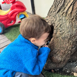 Ekim Ayı GEMS Temamız 'Ağaç Evler'