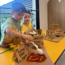 Doğadan Gelen Renkler 🎨