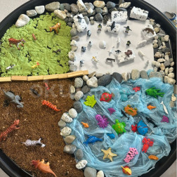 Doğanın Dört Alanı 🌍