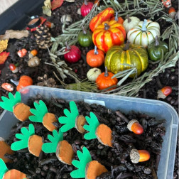 Sonbahar Bahçesi Keşfi