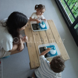 Duyusal Keşif Etkinliği